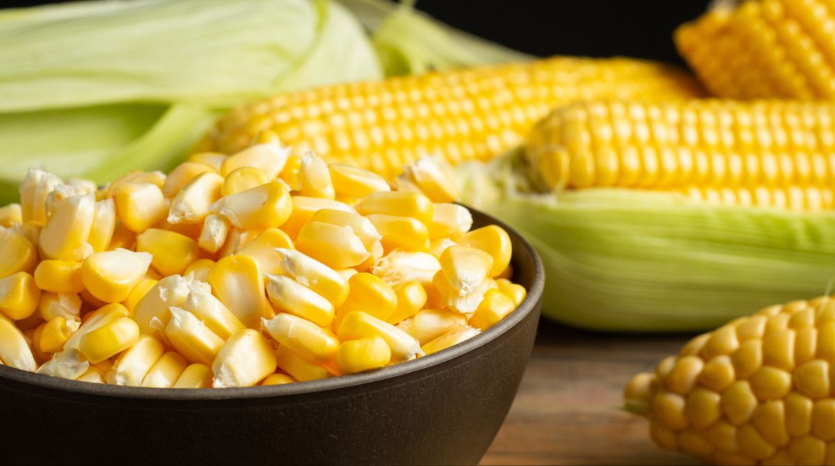 Ingin Buat Tepung Jagung Sendiri? Yuk, Ikuti Cara Ini!